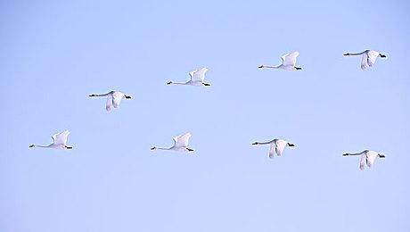 《使命召唤18》将支持AMD FSR PS5＆XSX|S都能稳定60FPS