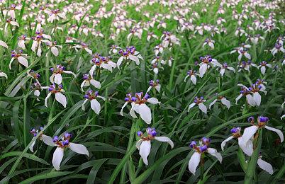 《宇宙机器人》创意总监表示联动《血源》没有深意